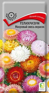 Гелихризум Махровый смесь окрасок, 0,25 г