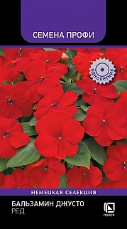 Бальзамин Джусто Ред, 10 шт. Семена Профи