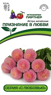 Астра китайская Признание в любви, 5 шт. С любовью