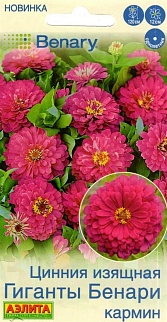Цинния Гиганты Бенари кармин, 7 шт.
