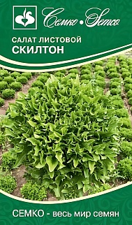 Салат листовой Скилтон, 10 шт.