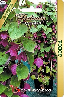 Родохитон Родос, 5 шт. Platinum Биотехника