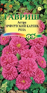 Астра Эрфуртский карлик Роза, 0,3 г