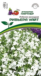 Лобелия каскадная Ривьера Уайт, 10 шт.