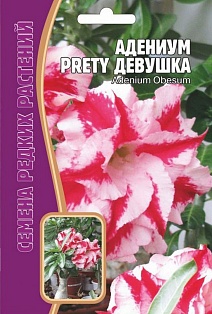 Адениум Обесум Прелестная Девушка, 3 шт. Редкие семена.