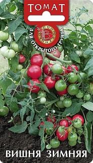 Томат Вишня зимняя, 25 шт. Биотехника