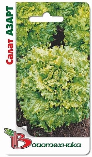 Салат Азарт. Биотехника