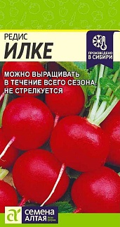 Редис Илке, 2 г