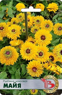 Рудбекия махровая Майя, 15 шт. Биотехника
