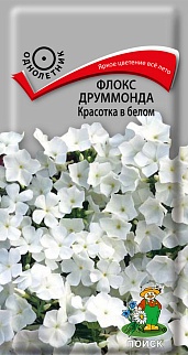 Флокс друммонда Красотка в белом, 0,1 г