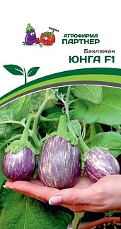 Баклажан Юнга F1, 10 шт.