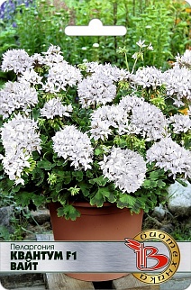Пеларгония Квантум F1 Вайт, 5 шт. Биотехника