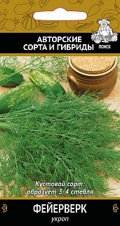 Укроп Фейерверк, 3 г. Поиск.