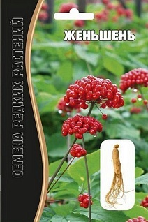 Женьшень, 3 шт. Редкие семена.