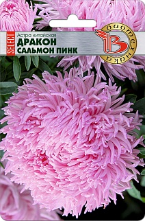Астра китайская Дракон селект Сальмон Пинк, 30 шт. Биотехника