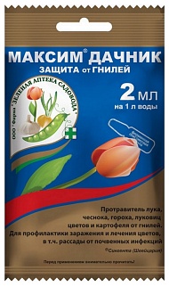 Максим Дачник, 2 мл