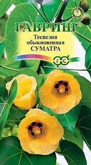 Теспезия Суматра, 3 шт.