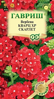 Вербена Кварц XP Скарлет, гибридная, 5 шт. Элитная клумба.