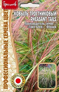 Ковыль тростниковый Pheasant Tails (Фазаньи хвосты), 10 шт.
