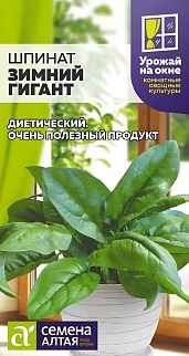 Шпинат Зимний Гигант, 1 г. Урожай на окне.