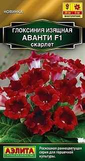 Глоксиния Аванти F1 скарлет, 5 шт.