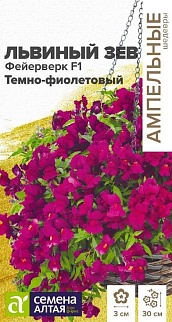 Львиный зев Фейерверк F1 темно-фиолетовый ампельный, 5 шт. Ампельные шедевры.
