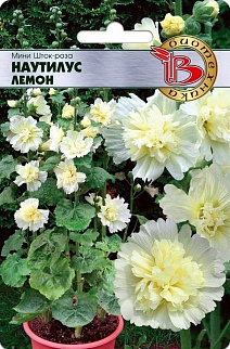 Мини Шток-Роза Наутилус Лемон, 8 шт. Биотехника
