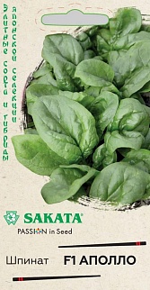 Шпинат Аполло F1, 1 г. Саката.