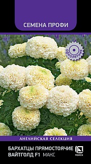 Бархатцы прямостоячие Вайтголд F1 Макс, 10 шт. Голландская селекция
