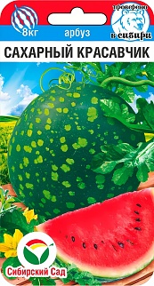 Арбуз Сахарный красавчик, 5 шт.