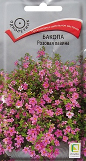 Бакопа Розовая лавина, 5 шт.
