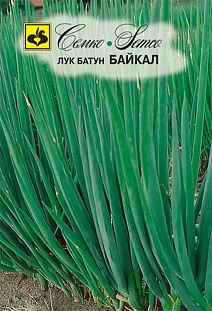 Лук батун Байкал, 1 г