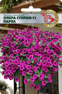 Петуния каскадная Опера Суприм F1 Парпл, 5 шт. Биотехника