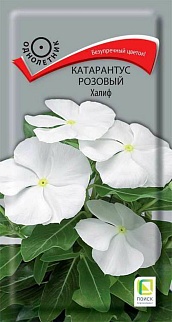 Катарантус розовый Халиф, 0,2 г