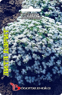 Агератум карликовый белый Литл Дорит, 300 шт. Биотехника