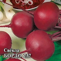 Свекла Бордо 237, 100 г