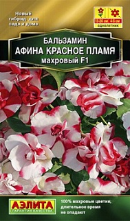 Бальзамин Афина F1, красное пламя, 5 шт.