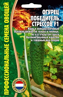 Огурец Победитель Стрессов F1, 5+1 шт.