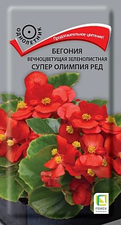 Бегония вечноцветущая зеленолистная Супер Олимпия Ред, 15 шт.