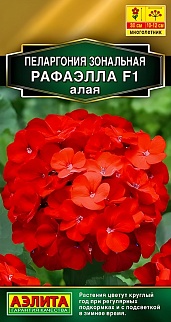 Пеларгония Рафаэлла F1, алая, 5 шт.