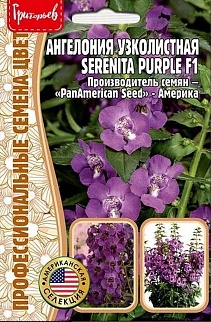 Ангелония узколистная Serenita Рurple F1 3др.