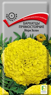 Бархатцы прямостоячие Мери Хелен, 0,4 г