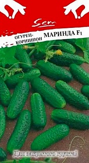 Огурец Маринда, 10 шт. Русский огород