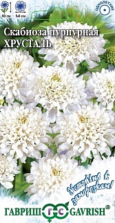 Скабиоза пурпурная Хрусталь, 0,2 г. Устойчив к заморозкам! 