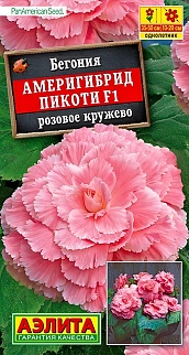 Бегония Америгибрид пикоти F1, розовое кружево, 5 шт.