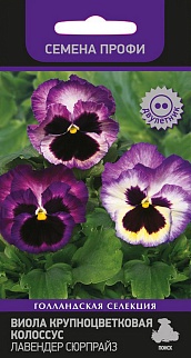 Виола крупноцветковая Колоссус Лавендер сюрпрайз, 10 шт. Семена профи