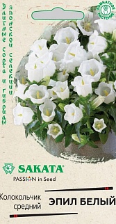 Колокольчик средний Эпил белый, 3 шт. Саката.