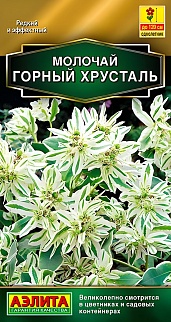 Молочай Горный хрусталь, 20 шт.