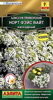 Алиссум каскадный Норт фэйс вайт, 12 шт.