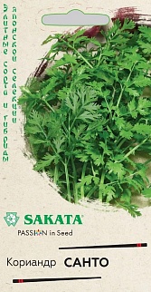 Кориандр Санто, 2 г. Саката.